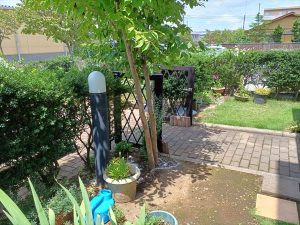 植木で囲まれてる