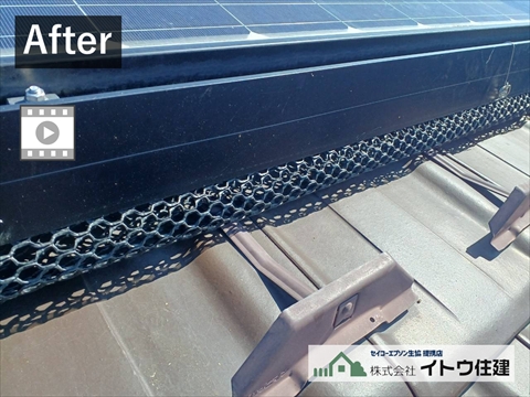 鳥害太陽光パネルに防鳥ネット取り付け1