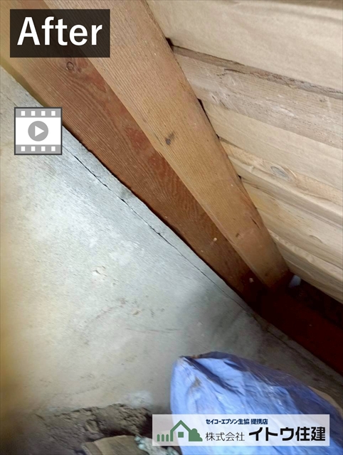 塩尻市シロアリ被害の土台をタフロンウッドGⅡで補修工事